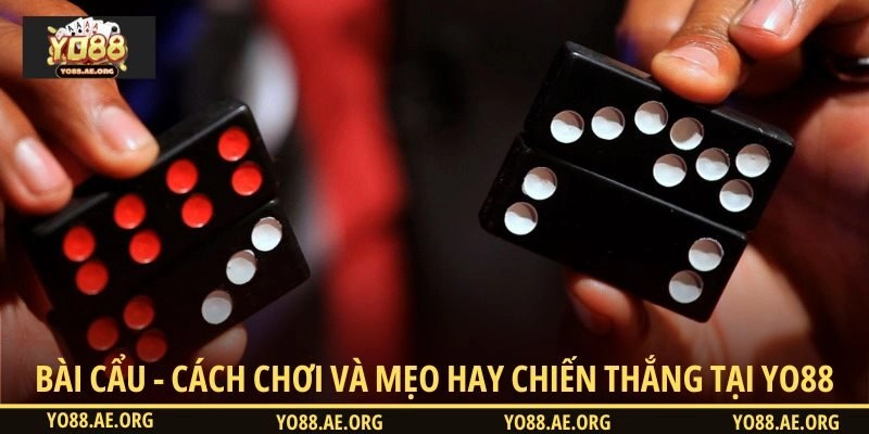 Bài Cẩu - Cách Chơi Và Mẹo Hay Chiến Thắng Tại YO88