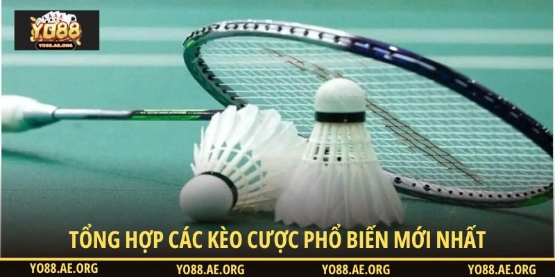 Các kèo đặt cửa cầu lông phổ biến mới nhất