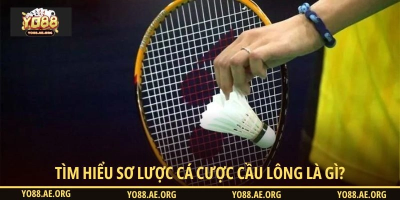 Tìm hiểu sơ lược cá cược cầu lông là gì?