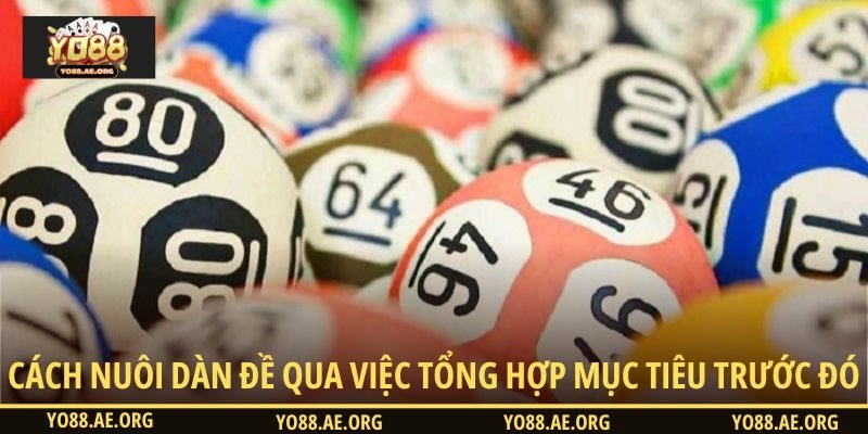 Cách nuôi dàn đề qua việc tổng hợp mục tiêu trước đó