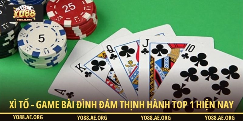 Giới thiệu xì tố